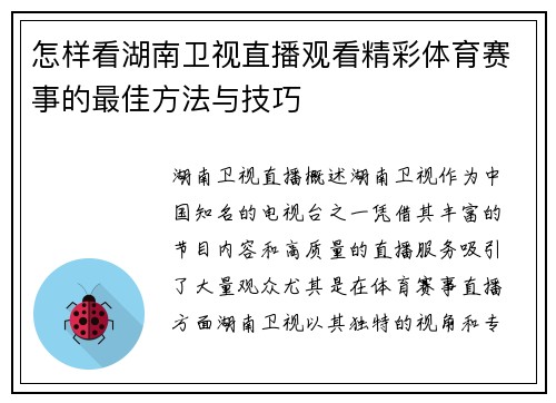 怎样看湖南卫视直播观看精彩体育赛事的最佳方法与技巧