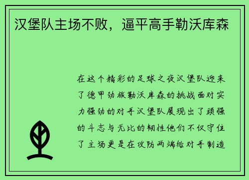 汉堡队主场不败，逼平高手勒沃库森